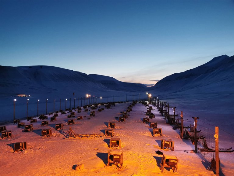 Svalbard Dog Sledding Camp