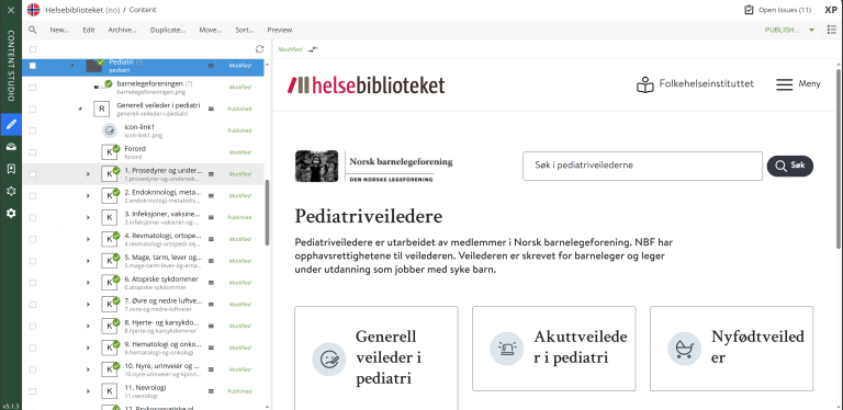 HBIB Guideline Content Structure