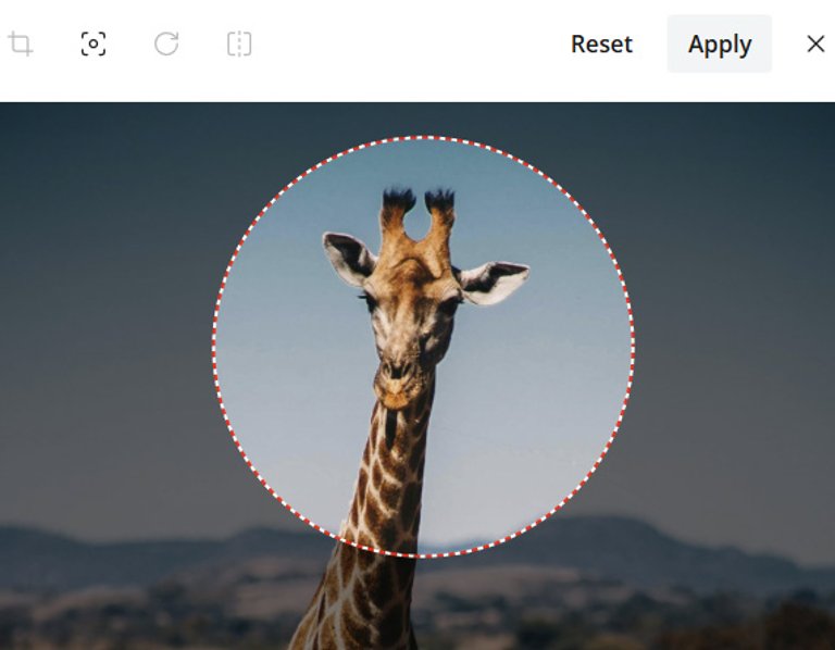 spec-sheet-image-handling