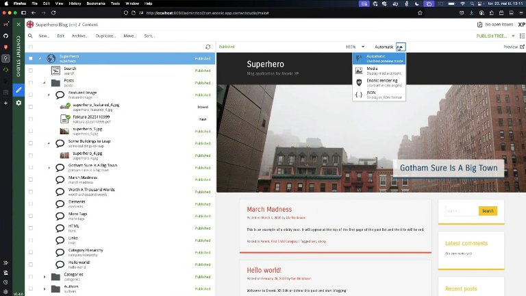 Screenshot of the pluggable preview in Content Studio.