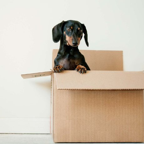 Migrating to a New CMS Using AI (Is It Possible?)